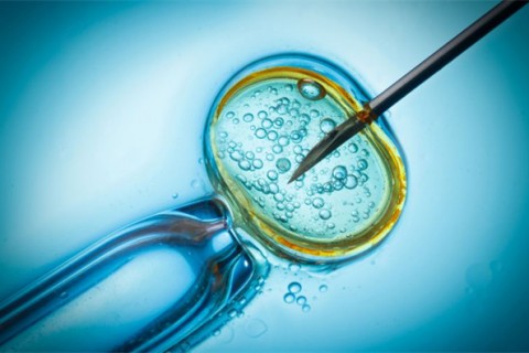 http://taizhou.qqkaixin.com/post/199.html|台州供卵助孕